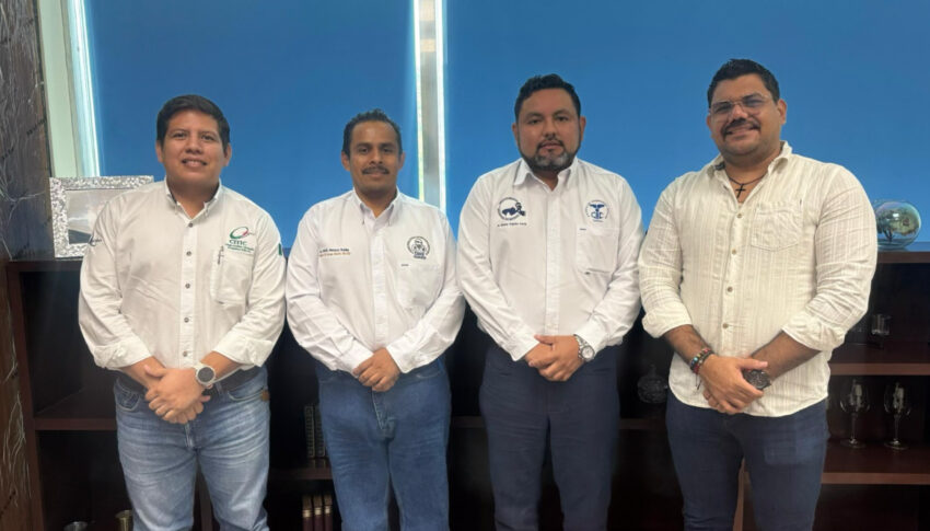 🤝 Fortaleciendo lazos entre líderes profesionales